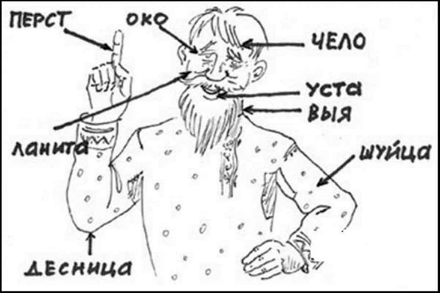 Как правильно произносить Вибер или Вайбер? 