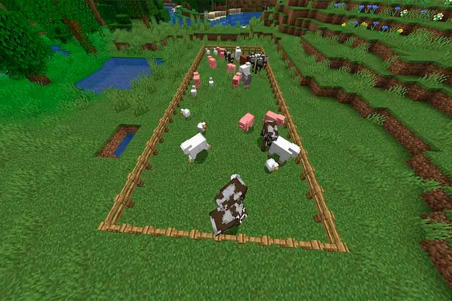 Minecraft: как эффективно разводить свиней, получать яйца и перья из кур, кожу, молоко и говядину от коров