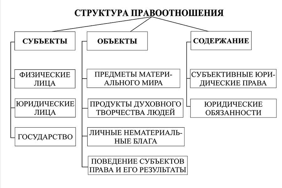 Субъекты и объекты таможенного права