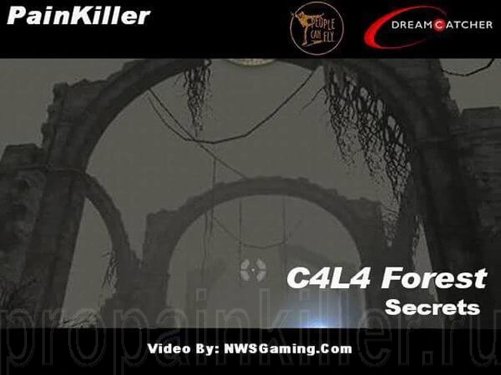 Скриншоты поиска секретов. Painkiller