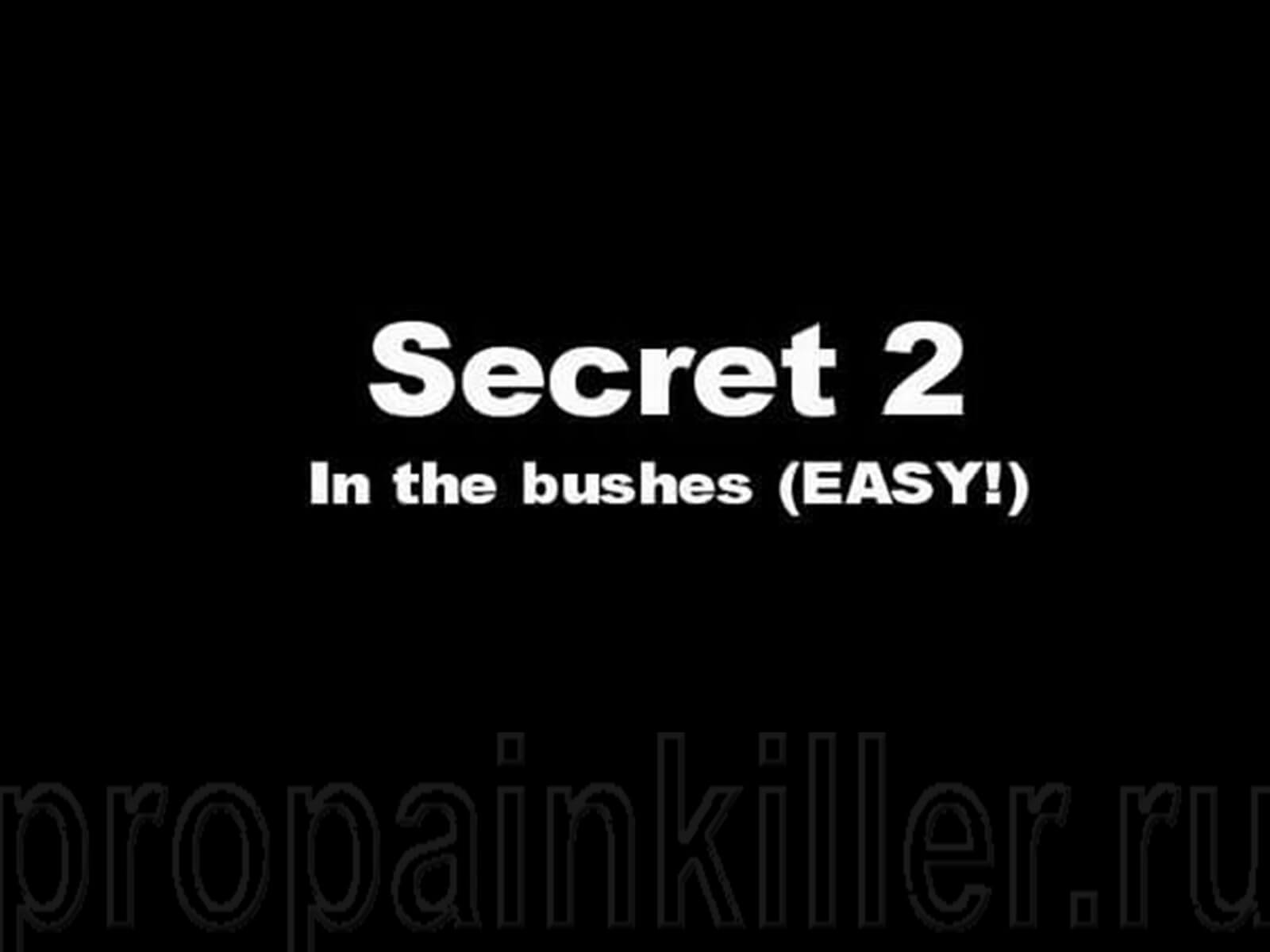 Скриншоты поиска секретов. Painkiller