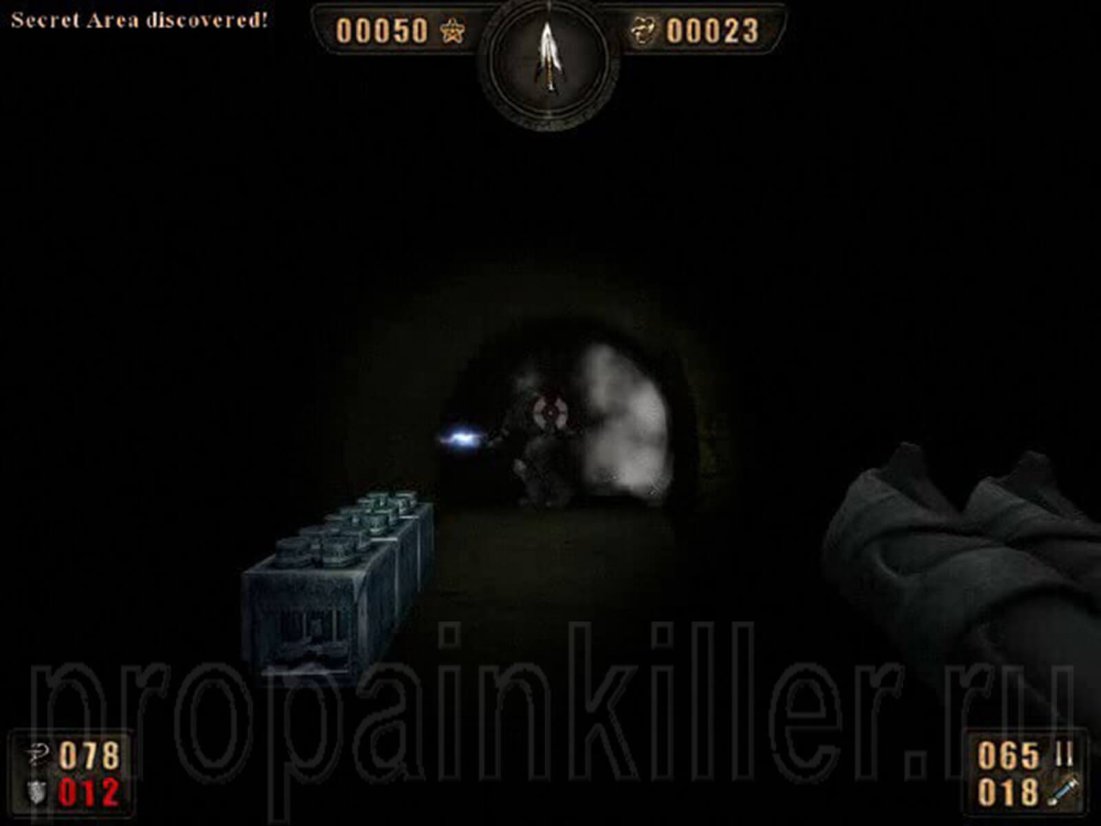 Скриншоты поиска секретов. Painkiller